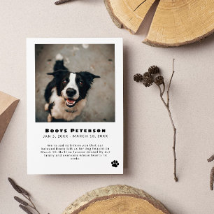 Svart Pawprint Pet Loss Photo Announement Meddelande