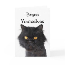 Svart, persisk kattfest - inbjudan