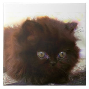 Svart persisk kattunge kakelplatta