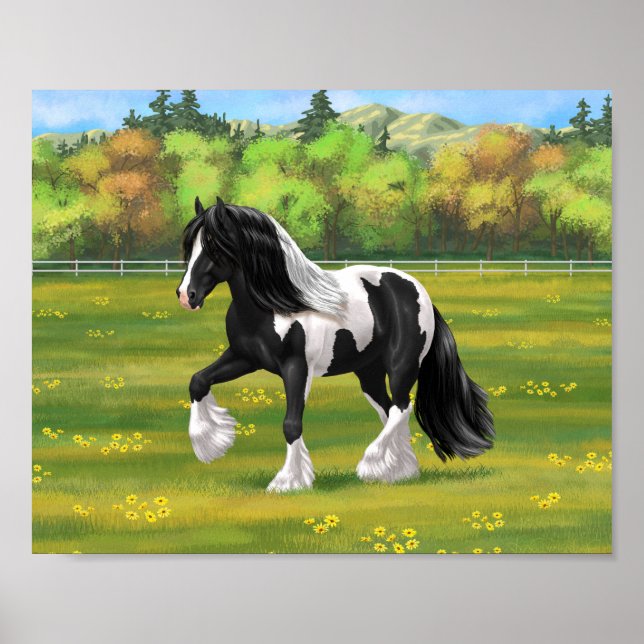 Svart Pinto Brokig Gypsy Vanner Draghäst Poster (Framsidan)
