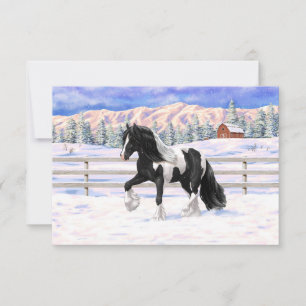 Svart Pintó Skäck Gypsy Vanner Draghäst Inbjudningar