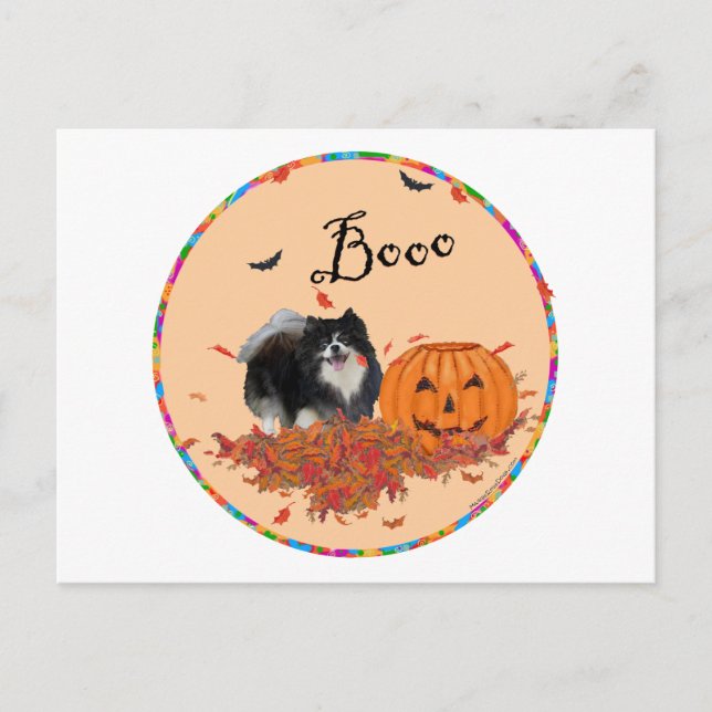 Svart Pomeranian Halloween Vykort (Framsida)