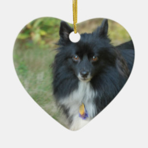 Svart Pomeranian hundprydnad Julgransprydnad Keramik