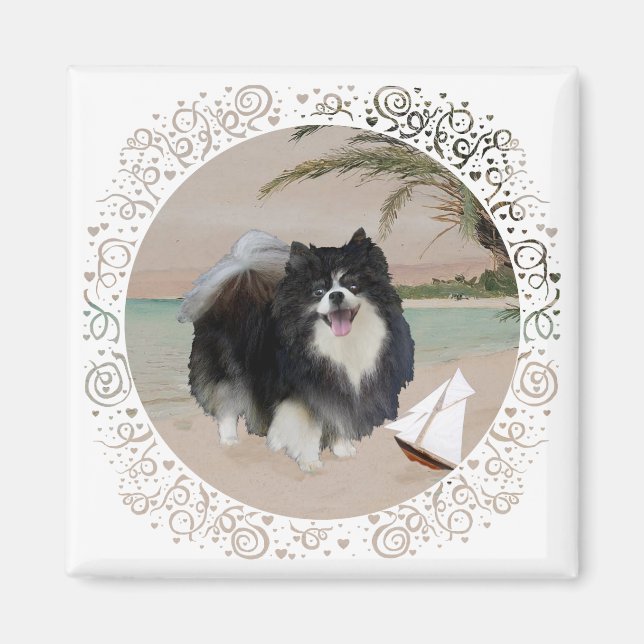 Svart Pomeranian med segelbåt Magnet (Framsidan)