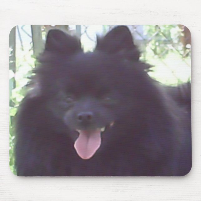 Svart Pomeranian Mousepad Musmatta (Framsidan)
