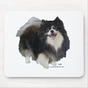 Svart pomeranian musmatta