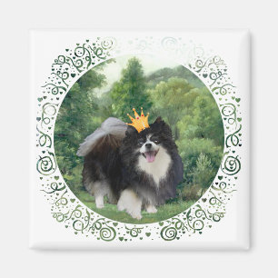 Svart Pomeranian Prins Magnet
