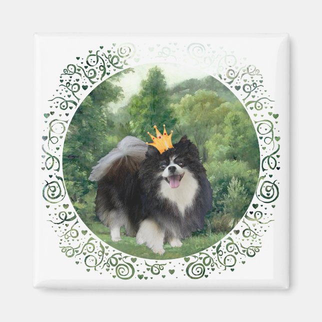 Svart Pomeranian Prins Magnet (Framsidan)