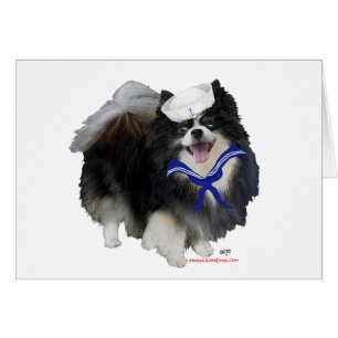Svart Pomeranian Sjöman Hälsningskort