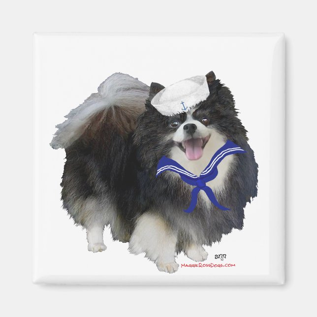 Svart Pomeranian Sjöman Magnet (Framsidan)