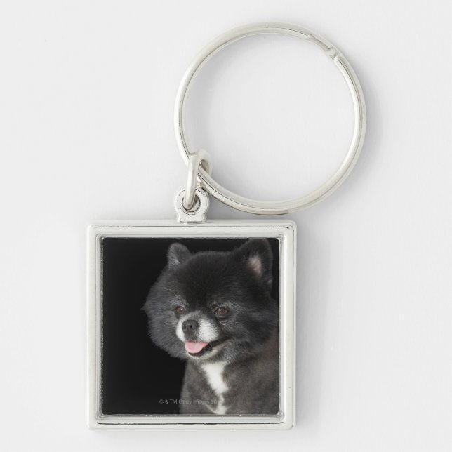 Svart Pomeranian som tittar till det vänstert Fyrkantig Silverfärgad Nyckelring (Framsidan)