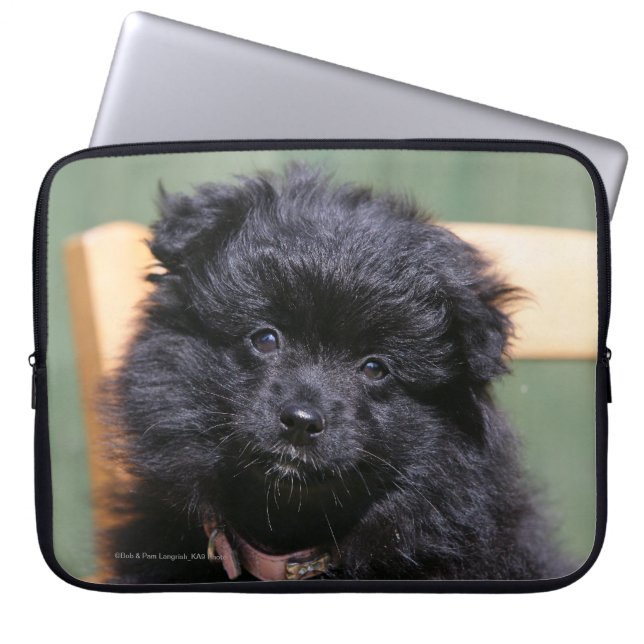 Svart Pomeranian valp Laptop Sleeve (Framsidan)