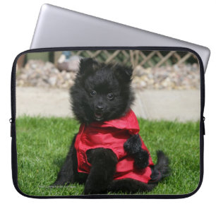 Svart Pomeranian valp tittar kamera Laptop Sleeve