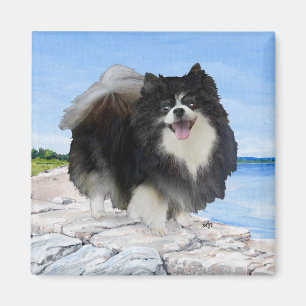 Svart Pomeranian vid havet Magnet