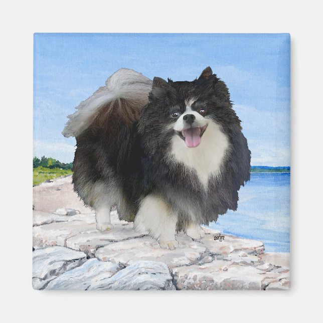 Svart Pomeranian vid havet Magnet (Framsidan)