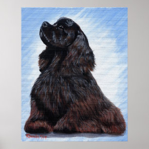 Svart porträtt för cockerspanielSpanielhund Poster