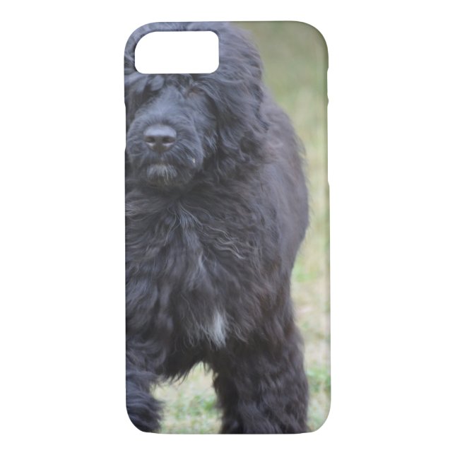 Svart portugisisk vattenhund Case-Mate iPhone skal (Baksida)