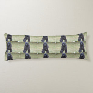 Svart portugisisk vattenhund kroppskudde