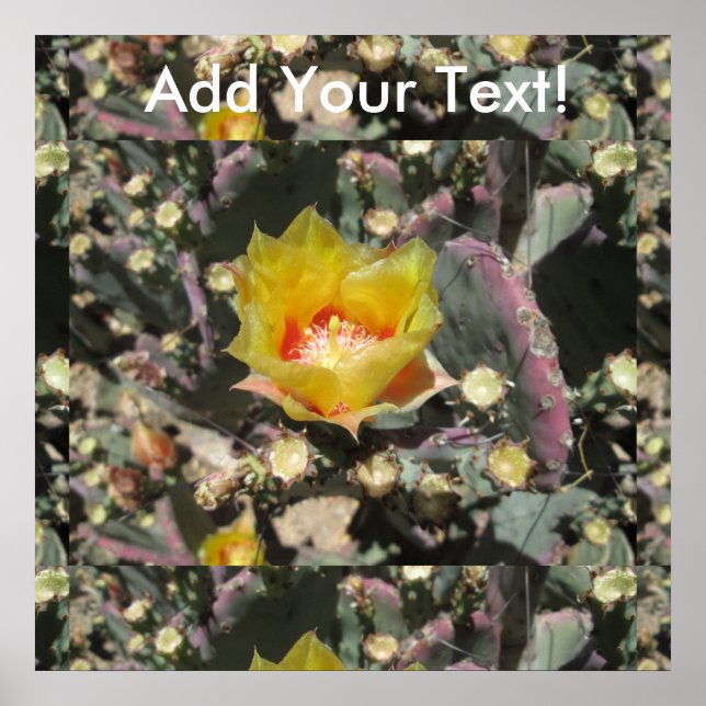 Svart, prickly Pear Black Sped Poster (Framsidan)