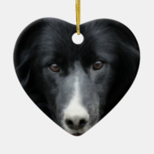 Svart prydnad för hund för gränsCollieansikte Julgransprydnad Keramik