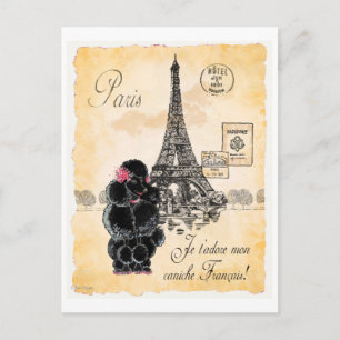 Svart Pudel Fransk Paris Eiffeltornet Vintage Vykort