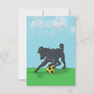 Svart Pudel med fotbolls-fack Tack Kort