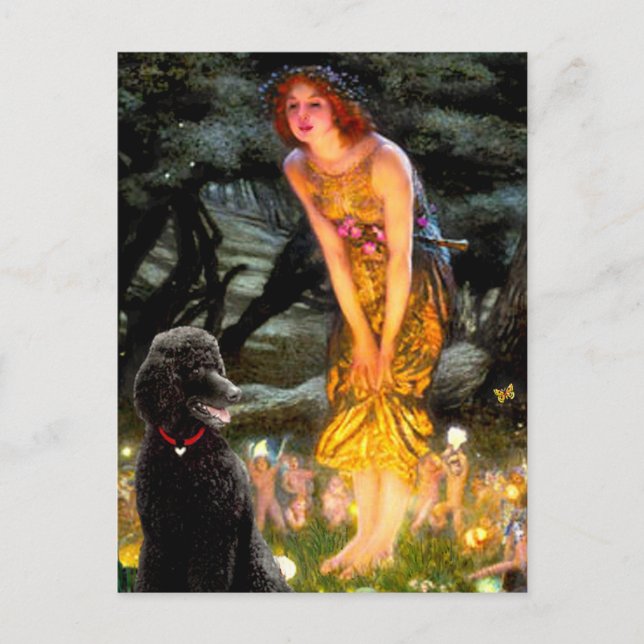 Svart Pudel (T) med medelhög standard Vykort (Framsida)