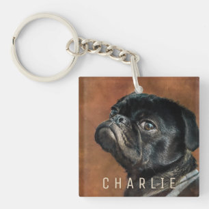 Svart Pug-Hund