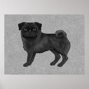 Svart Pug Hund Canine Söt Tecknad Illustration Poster