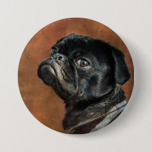 Svart pug-Hund Knapp