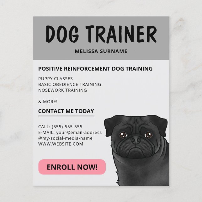 Svart Pug Hundtränare Hund Djurservice Grå Flygblad (Framsidan)