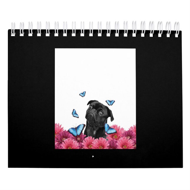 Svart pug med blå fjärilar och Gerberas Kalender (Omslag)