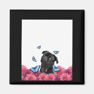 Svart pug med blå fjärilar och Gerberas Magnet