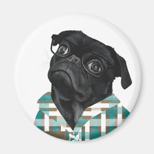 Svart pug med glas och skikt magnet