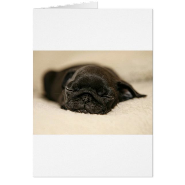 Svart pug Puppy Sleeping Hälsningskort (Framsidan)