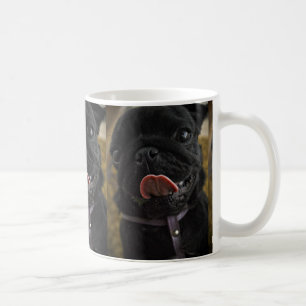 svart pug slickande kaffemugg
