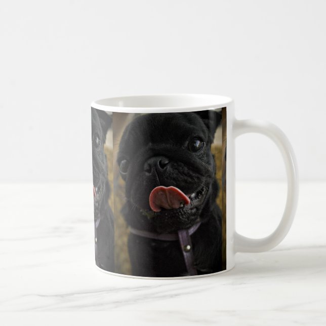 svart pug slickande kaffemugg (Höger)