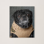 Svart pugg i en sötare pussel<br><div class="desc">Hund i en sötare</div>
