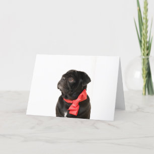 Svart pugg med rött båge helgkort