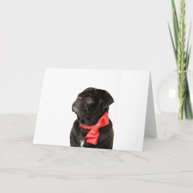 Svart pugg med rött båge helgkort (Framsida)