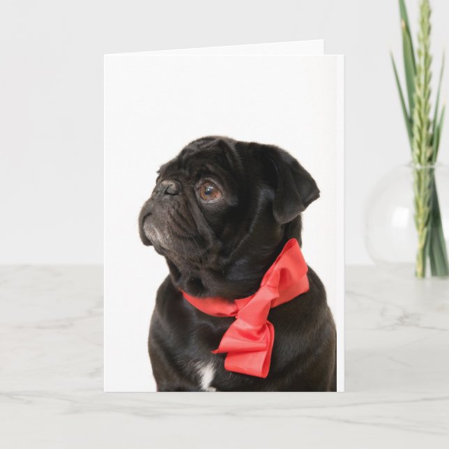Svart pugg med rött båge helgkort (Framsida)