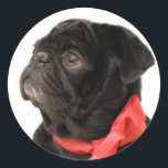 Svart pugg med rött båge runt klistermärke<br><div class="desc">Svart pugg med rött båge</div>