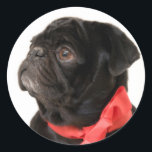 Svart pugg med rött båge runt klistermärke<br><div class="desc">Svart pugg med rött båge</div>