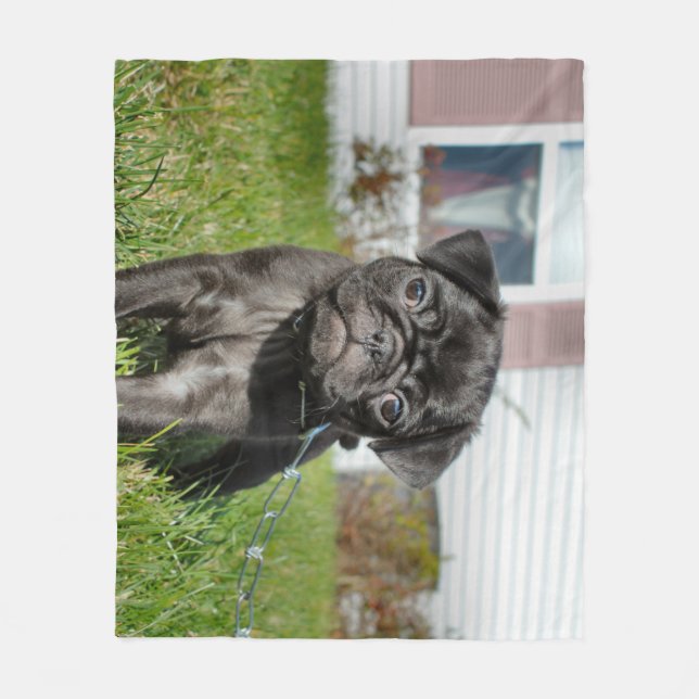 Svart puggvalp fleecefilt (Framsidan)