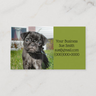 Svart puggvalp visitkort