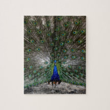 Svårt pussel för fjädrar för pusselgåvapåfågel