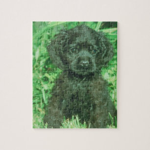 Svart pussel för hund för cockerspanielSpanielvalp