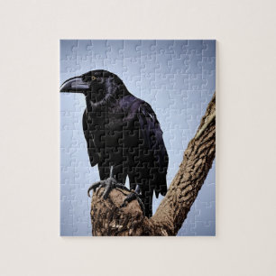 Svart puzzel för kråka pussel