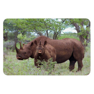 Svart Rhino med Calf Magnet