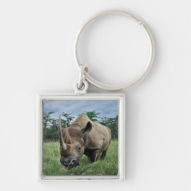Svart Rhinoceros| Kenya Fyrkantig Silverfärgad Nyckelring (Framsidan)